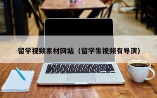 临沧留学视频素材网站（留学生视频有导演）